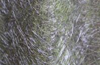 Chweffordd fibreglass roof work